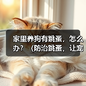家里养狗有跳蚤,怎么办?(防治跳蚤,让宠物和家庭远离烦恼)(图1) 家里养狗有跳蚤,怎么办?(防治跳蚤,让宠物和家庭远离烦恼)(图1)