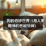 狗的奇妙世界(与人类相伴的忠诚伙伴)(图3) 狗的奇妙世界(与人类相伴的忠诚伙伴)(图3)