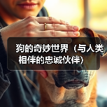 狗的奇妙世界(与人类相伴的忠诚伙伴)(图4) 狗的奇妙世界(与人类相伴的忠诚伙伴)(图4)