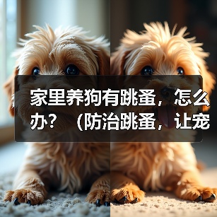 家里养狗有跳蚤,怎么办?(防治跳蚤,让宠物和家庭远离烦恼)(图4) 家里养狗有跳蚤,怎么办?(防治跳蚤,让宠物和家庭远离烦恼)(图4)