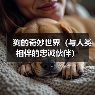 狗的奇妙世界(与人类相伴的忠诚伙伴)(图2) 狗的奇妙世界(与人类相伴的忠诚伙伴)(图2)