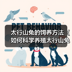 太行山兔的饲养方法(如何科学养殖太行山兔,让它们健康快乐地成长)(图4) 太行山兔的饲养方法(如何科学养殖太行山兔,让它们健康快乐地成长)(图4)