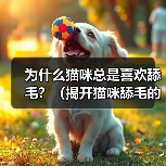 为什么猫咪总是喜欢舔毛?(揭开猫咪舔毛的5个原因)(图2) 为什么猫咪总是喜欢舔毛?(揭开猫咪舔毛的5个原因)(图2)
