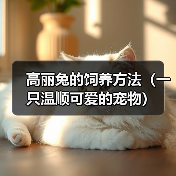 高丽兔的饲养方法（一只温顺可爱的宠物）（图1）