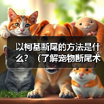 以柯基断尾的方法是什么?(了解宠物断尾术,保护你的柯基宝贝)(图2) 以柯基断尾的方法是什么?(了解宠物断尾术,保护你的柯基宝贝)(图2)