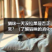 猫咪一天没拉屎是否正常?(了解猫咪的消化系统和行为习惯,判断它是否需要就医)(图2) 猫咪一天没拉屎是否正常?(了解猫咪的消化系统和行为习惯,判断它是否需要就医)(图2)