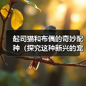 起司猫和布偶的奇妙配种(探究这种新兴的宠物品种和人们对它的热情)(图1) 起司猫和布偶的奇妙配种(探究这种新兴的宠物品种和人们对它的热情)(图1)