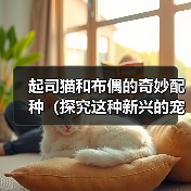 起司猫和布偶的奇妙配种(探究这种新兴的宠物品种和人们对它的热情)(图3) 起司猫和布偶的奇妙配种(探究这种新兴的宠物品种和人们对它的热情)(图3)