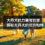 大丹犬的力量与智慧(探秘大丹犬的优势和特点)(图1) 大丹犬的力量与智慧(探秘大丹犬的优势和特点)(图1)