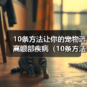 10条方法让你的宠物远离眼部疾病(10条方法让你的宠物远离眼部疾病)(图1) 10条方法让你的宠物远离眼部疾病(10条方法让你的宠物远离眼部疾病)(图1)