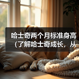 哈士奇两个月标准身高(了解哈士奇成长,从身高开始)(图3) 哈士奇两个月标准身高(了解哈士奇成长,从身高开始)(图3)