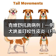 克维舒抗菌病例 | 一例犬跳蚤叮咬性皮炎(FAD)的病例分析(图3) 克维舒抗菌病例 | 一例犬跳蚤叮咬性皮炎(FAD)的病例分析(图3)