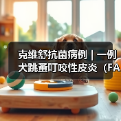 克维舒抗菌病例 | 一例犬跳蚤叮咬性皮炎(FAD)的病例分析(图2) 克维舒抗菌病例 | 一例犬跳蚤叮咬性皮炎(FAD)的病例分析(图2)