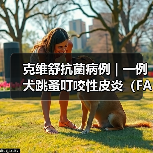 克维舒抗菌病例 | 一例犬跳蚤叮咬性皮炎(FAD)的病例分析(图1) 克维舒抗菌病例 | 一例犬跳蚤叮咬性皮炎(FAD)的病例分析(图1)