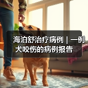 海泊舒治疗病例 | 一例犬咬伤的病例报告(图2) 海泊舒治疗病例 | 一例犬咬伤的病例报告(图2)