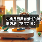 小狗是否具有猎性的判断方法(猎性判断)(图3) 小狗是否具有猎性的判断方法(猎性判断)(图3)