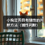 小狗是否具有猎性的判断方法(猎性判断)(图4) 小狗是否具有猎性的判断方法(猎性判断)(图4)