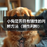 小狗是否具有猎性的判断方法(猎性判断)(图2) 小狗是否具有猎性的判断方法(猎性判断)(图2)