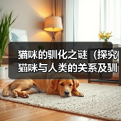猫咪的驯化之谜（探究猫咪与人类的关系及驯化限制）（图2）