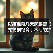 以猫绝育几天摘脖套(宠物猫绝育手术后的护理和恢复过程)(图4) 以猫绝育几天摘脖套(宠物猫绝育手术后的护理和恢复过程)(图4)