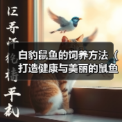 白豹鼠鱼的饲养方法(打造健康与美丽的鼠鱼家园)(图1) 白豹鼠鱼的饲养方法(打造健康与美丽的鼠鱼家园)(图1)