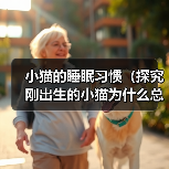 小猫的睡眠习惯(探究刚出生的小猫为什么总在睡觉)(图1) 小猫的睡眠习惯(探究刚出生的小猫为什么总在睡觉)(图1)