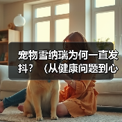 宠物雪纳瑞为何一直发抖?(从健康问题到心理原因,揭秘发抖背后的真相)(图1) 宠物雪纳瑞为何一直发抖?(从健康问题到心理原因,揭秘发抖背后的真相)(图1)
