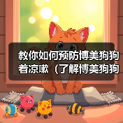 教你如何预防博美狗狗着凉嗽（了解博美狗狗的身体特征与日常护理）（图4）