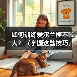 如何训练爱尔兰梗不咬人?(掌握这些技巧,让你的宠物更友善)(图2) 如何训练爱尔兰梗不咬人?(掌握这些技巧,让你的宠物更友善)(图2)