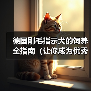 德国刚毛指示犬的饲养全指南(让你成为优秀的犬主人)(图3) 德国刚毛指示犬的饲养全指南(让你成为优秀的犬主人)(图3)