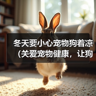 冬天要小心宠物狗着凉(关爱宠物健康,让狗狗过一个温暖的冬天)(图1) 冬天要小心宠物狗着凉(关爱宠物健康,让狗狗过一个温暖的冬天)(图1)