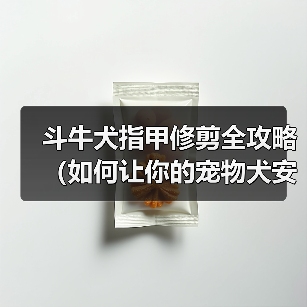 斗牛犬指甲修剪全攻略(如何让你的宠物犬安心完成修剪,避免意外伤害)(图1) 斗牛犬指甲修剪全攻略(如何让你的宠物犬安心完成修剪,避免意外伤害)(图1)
