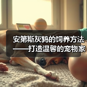 安第斯灰鸫的饲养方法——打造温馨的宠物家园(从生活习性到饲养技巧,全方位解析安第斯灰鸫的养殖要点)(图4) 安第斯灰鸫的饲养方法——打造温馨的宠物家园(从生活习性到饲养技巧,全方位解析安第斯灰鸫的养殖要点)(图4)