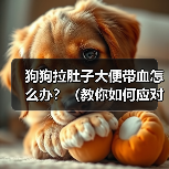 狗狗拉肚子大便带血怎么办？（教你如何应对犬只消化系统问题）（图3）