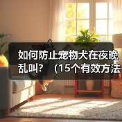如何防止宠物犬在夜晚乱叫？（15个有效方法让你的宠物犬安静一夜）（图1）