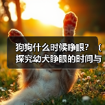 狗狗什么时候睁眼?(探究幼犬睁眼的时间与原因,)(图1) 狗狗什么时候睁眼?(探究幼犬睁眼的时间与原因,)(图1)