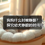 狗狗什么时候睁眼?(探究幼犬睁眼的时间与原因,)(图1) 狗狗什么时候睁眼?(探究幼犬睁眼的时间与原因,)(图1)