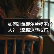 如何训练爱尔兰梗不咬人?(掌握这些技巧,让你的宠物更友善)(图1) 如何训练爱尔兰梗不咬人?(掌握这些技巧,让你的宠物更友善)(图1)