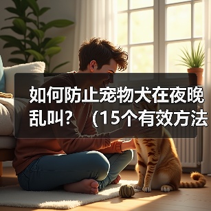 如何防止宠物犬在夜晚乱叫？（15个有效方法让你的宠物犬安静一夜）（图4）