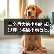 二个月大的小狗的成长过程(探秘小狗身体、心理发育的规律)(图1) 二个月大的小狗的成长过程(探秘小狗身体、心理发育的规律)(图1)