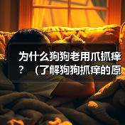 为什么狗狗老用爪抓痒？（了解狗狗抓痒的原因，保障它们的健康）（图2）