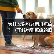 为什么狗狗老用爪抓痒？（了解狗狗抓痒的原因，保障它们的健康）（图3）