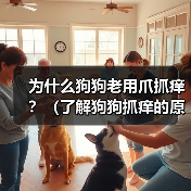 为什么狗狗老用爪抓痒？（了解狗狗抓痒的原因，保障它们的健康）（图4）