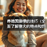 养德国猎梗的技巧(全面了解猎犬的特点和饲养要点,让你成为优秀的猎梗主人)(图1) 养德国猎梗的技巧(全面了解猎犬的特点和饲养要点,让你成为优秀的猎梗主人)(图1)