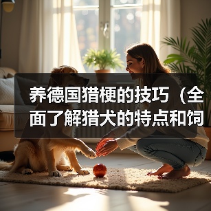 养德国猎梗的技巧(全面了解猎犬的特点和饲养要点,让你成为优秀的猎梗主人)(图4) 养德国猎梗的技巧(全面了解猎犬的特点和饲养要点,让你成为优秀的猎梗主人)(图4)