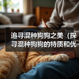 追寻混种狗狗之美(探寻混种狗狗的特质和优点,了解其起源和命名方式)(图2) 追寻混种狗狗之美(探寻混种狗狗的特质和优点,了解其起源和命名方式)(图2)