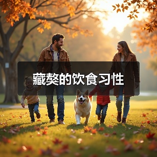 藏獒的饮食习性(图1) 藏獒的饮食习性(图1)