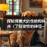 探秘博美犬的性格和特点（了解宠物的伴侣——博美犬）（图4）