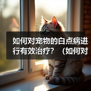 如何对宠物的白点病进行有效治疗?(如何对宠物的白点病进行有效治疗?)(图1) 如何对宠物的白点病进行有效治疗?(如何对宠物的白点病进行有效治疗?)(图1)