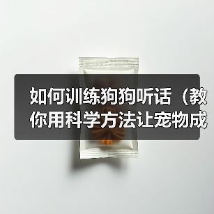 如何训练狗狗听话(教你用科学方法让宠物成为好孩子)(图1) 如何训练狗狗听话(教你用科学方法让宠物成为好孩子)(图1)